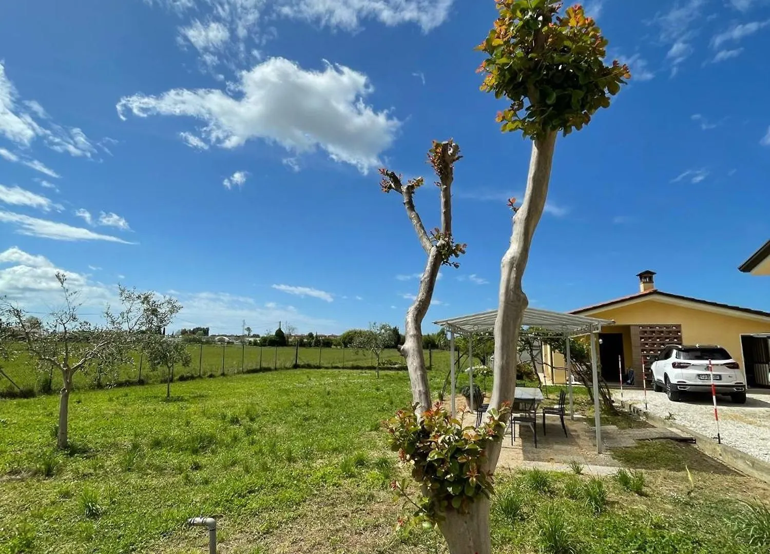 Lemon Villa Camaiore Italy
