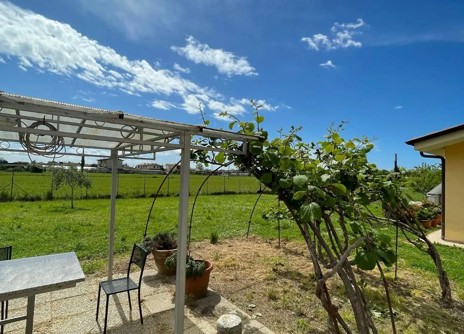 Lemon Villa Camaiore