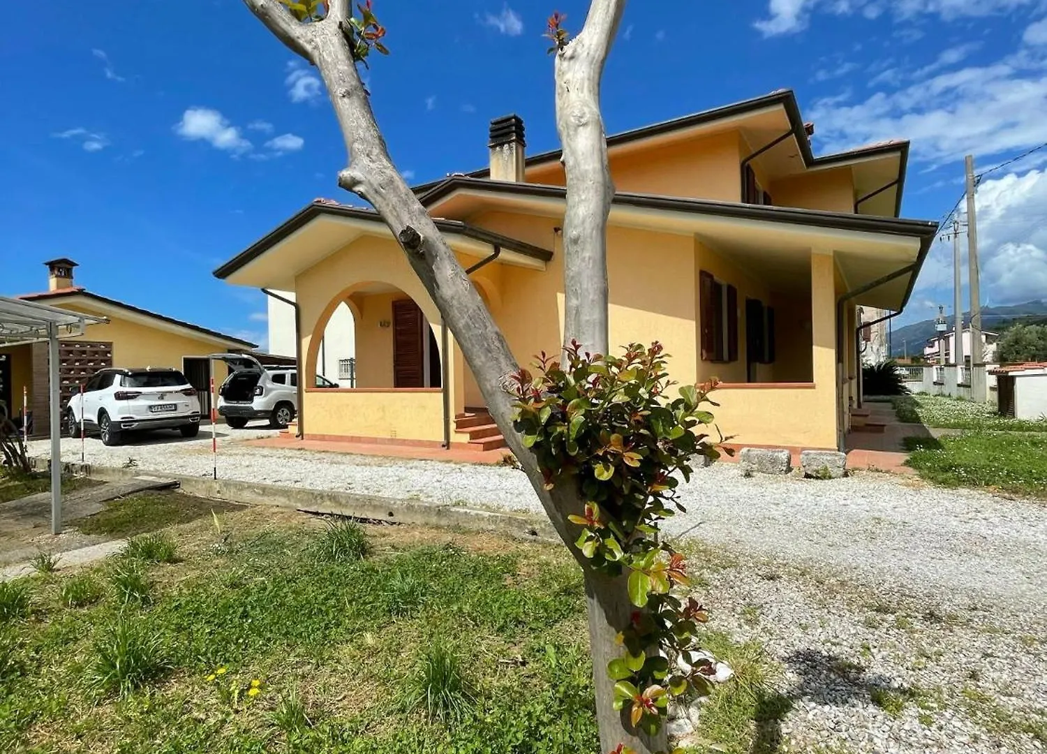 Lemon Villa Camaiore Italy